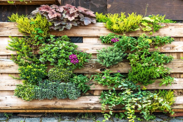 Cómo hacer un Jardín Vertical con Palets paso a paso - Embalajes Nicolás